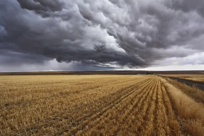 Gerahmter Druck : Donnerwolken über Feldern nach der Ernte. Gerahmter Druck : Donnerwolken über Feldern nach der Ernte.