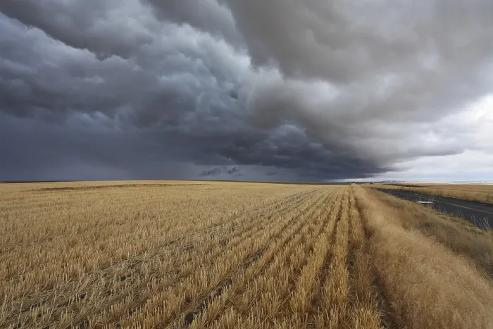 Gerahmter Druck : Donnerwolken über Feldern nach der Ernte. Gerahmter Druck : Donnerwolken über Feldern nach der Ernte.