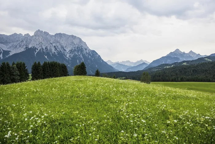 Gerahmter Druck : Donnerwolken, in der Nähe von Mittenwald. Gerahmter Druck : Donnerwolken, in der Nähe von Mittenwald.