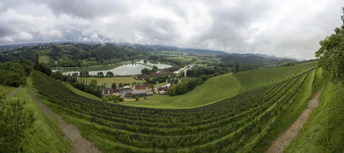 Gerahmter Druck : Donnerwolken über Weinberg, Silberberg. Gerahmter Druck : Donnerwolken über Weinberg, Silberberg.