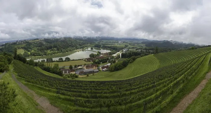 Gerahmter Druck : Donnerwolken über Weinberg, Silberberg. Gerahmter Druck : Donnerwolken über Weinberg, Silberberg.