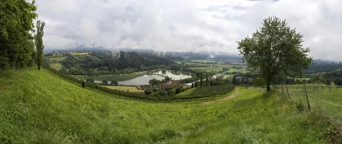 Gerahmter Druck : Donnerwolken über Weinberg, Silberberg. Gerahmter Druck : Donnerwolken über Weinberg, Silberberg.