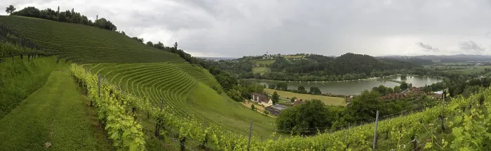 Gerahmter Druck : Donnerwolken über Weinberg, Silberberg. Gerahmter Druck : Donnerwolken über Weinberg, Silberberg.
