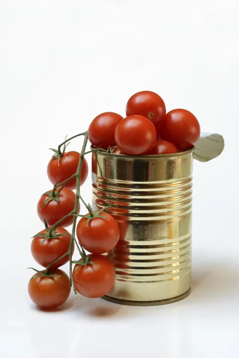 Gerahmter Druck : Gedörrte Tomaten, Cherry-Tomaten. Gerahmter Druck : Gedörrte Tomaten, Cherry-Tomaten.