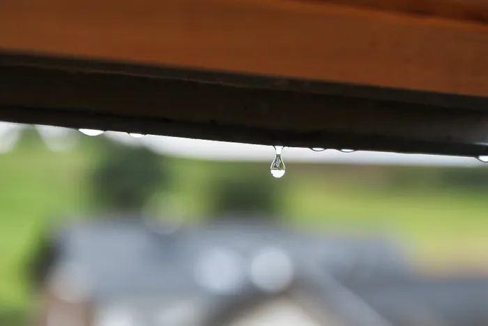 Gerahmter Druck : Regenwassertropfen hängt an Fensterrahmen Gerahmter Druck : Regenwassertropfen hängt an Fensterrahmen