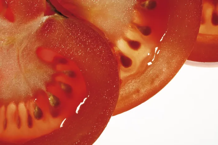 Gerahmter Druck : Tomatenwürfel Gerahmter Druck : Tomatenwürfel