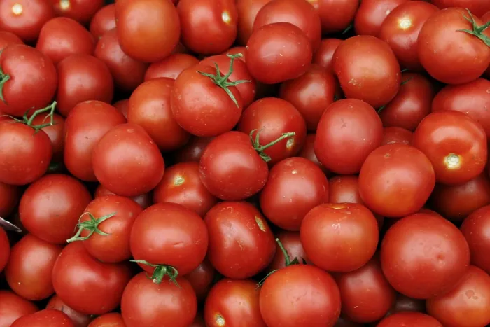 Gerahmter Druck : Tomatoes Gerahmter Druck : Tomatoes