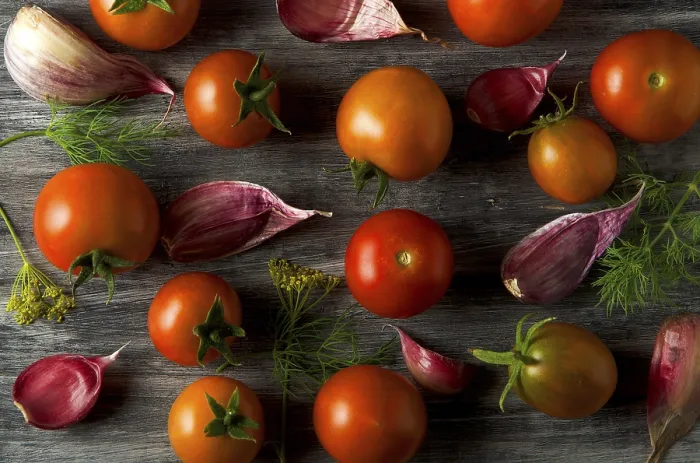Gerahmter Druck : Tomaten im Hintergrund. Tomaten. Gerahmter Druck : Tomaten im Hintergrund. Tomaten.