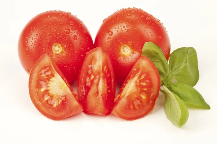 Gerahmter Druck : Tomaten mit Basilikum. Gerahmter Druck : Tomaten mit Basilikum.