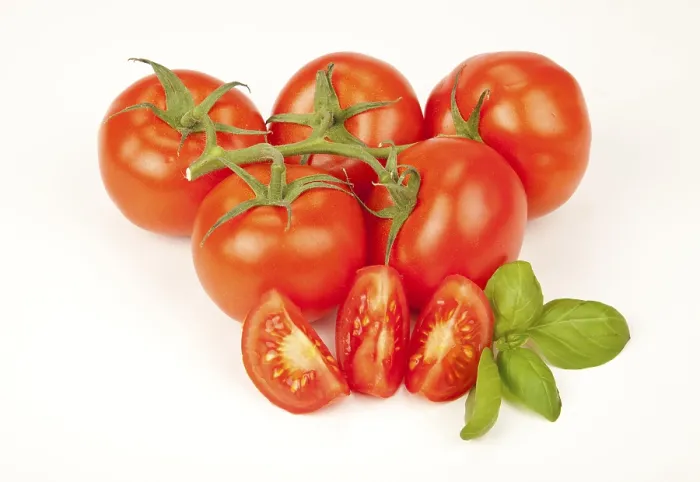 Gerahmter Druck : Tomaten mit Basilikum. Gerahmter Druck : Tomaten mit Basilikum.