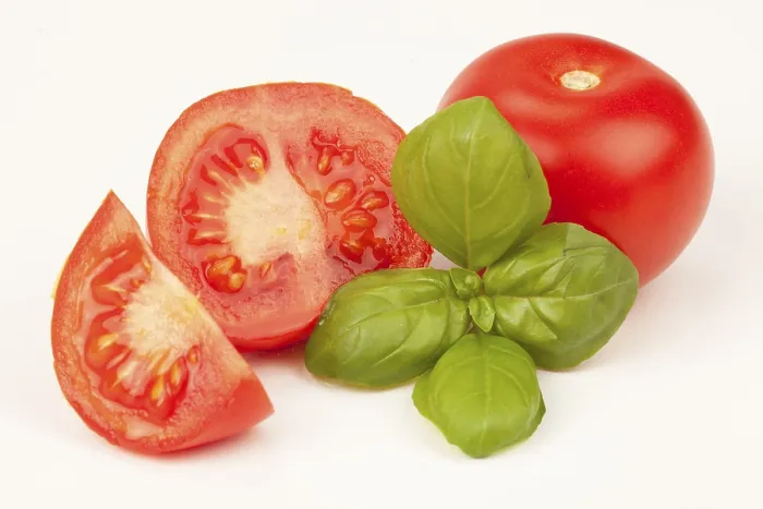 Gerahmter Druck : Tomaten mit Basilikum. Gerahmter Druck : Tomaten mit Basilikum.