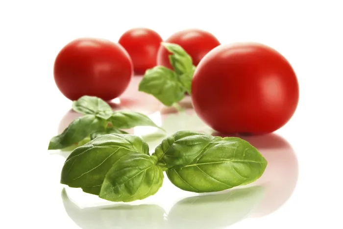 Gerahmter Druck : Tomaten und Basilikum. Gerahmter Druck : Tomaten und Basilikum.