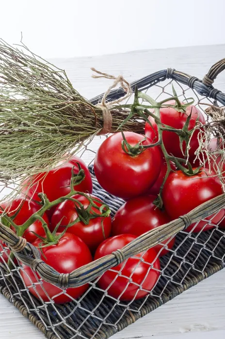 Gerahmter Druck : Tomaten im Korb. Gerahmter Druck : Tomaten im Korb.