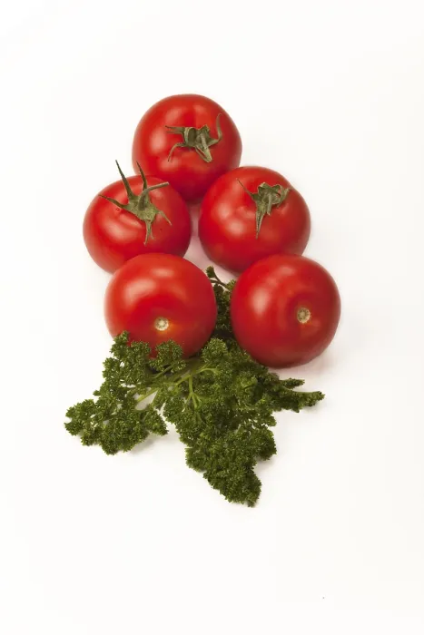 Gerahmter Druck : Tomaten mit Petersilie.