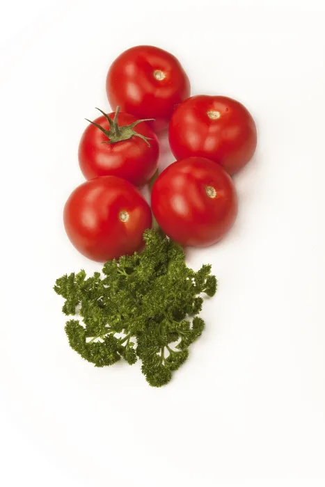 Gerahmter Druck : Tomaten mit Petersilie. Gerahmter Druck : Tomaten mit Petersilie.
