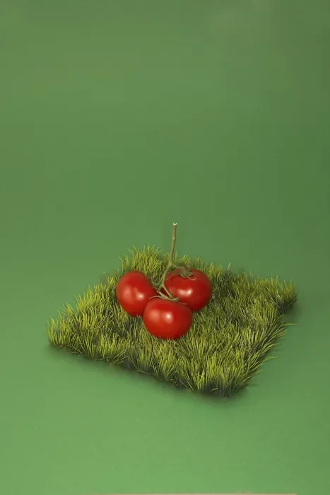 Gerahmter Druck : Tomaten auf einem Stück Gras. Gerahmter Druck : Tomaten auf einem Stück Gras.