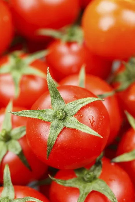 Gerahmter Druck : Tomaten Tomaten Gemüse von oben Gerahmter Druck : Tomaten Tomaten Gemüse von oben