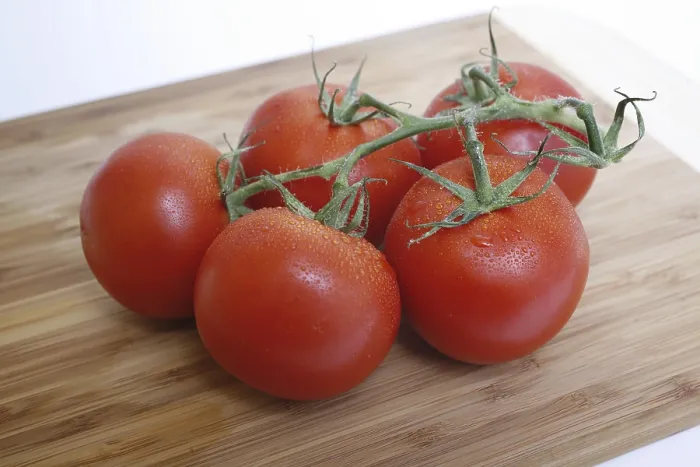 Gerahmter Druck : Tomaten auf dem Strauch. Gerahmter Druck : Tomaten auf dem Strauch.