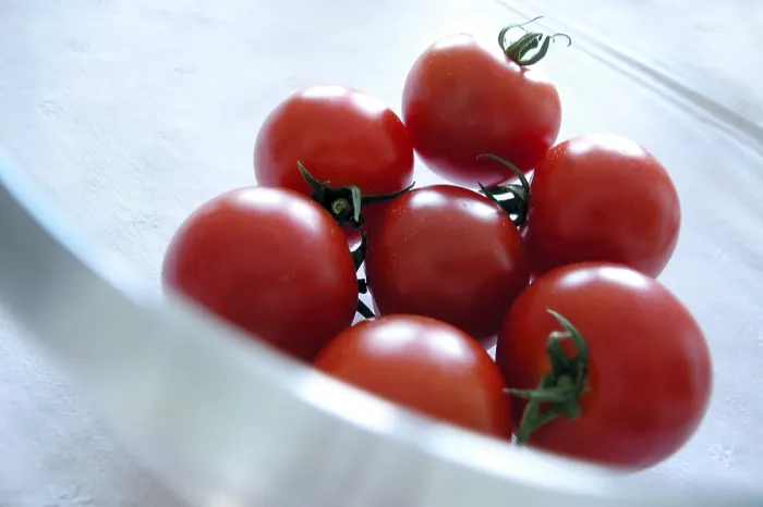 Gerahmter Druck : Tomatos Gerahmter Druck : Tomatos