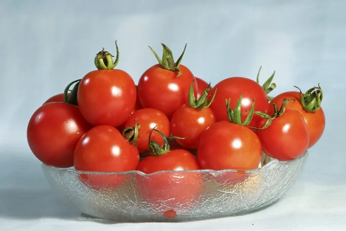 Gerahmter Druck : Tomatos Gerahmter Druck : Tomatos