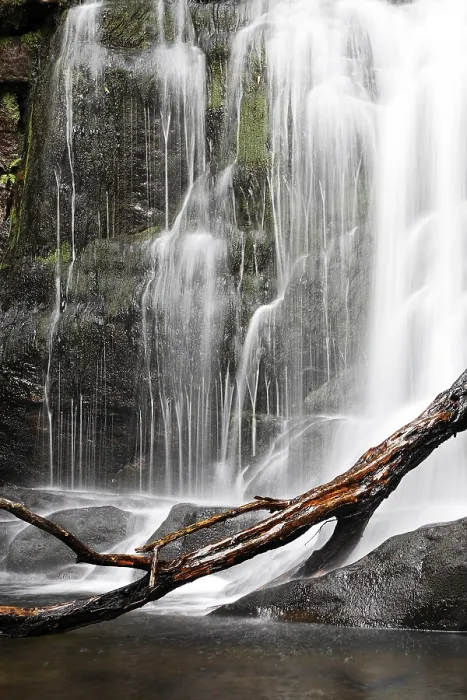 Gerahmter Druck : Torc-Wasserfall des Owengarriff-Flusses Gerahmter Druck : Torc-Wasserfall des Owengarriff-Flusses