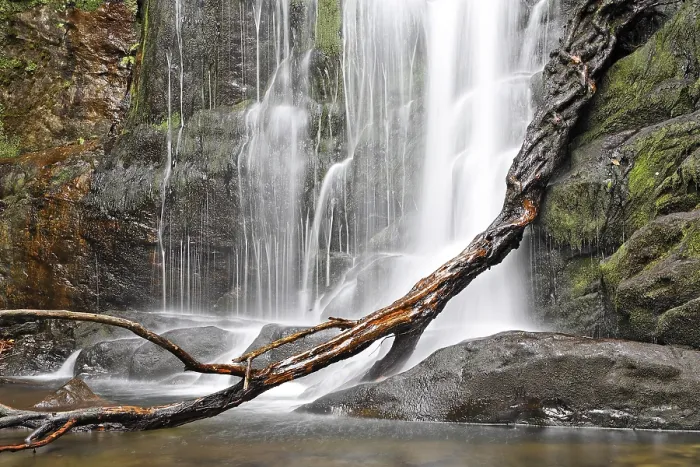 Gerahmter Druck : Torc-Wasserfall des Owengarriff River Gerahmter Druck : Torc-Wasserfall des Owengarriff River