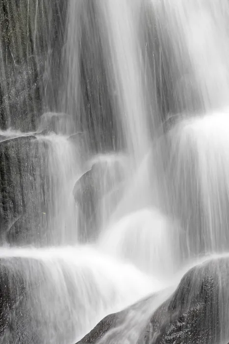 Gerahmter Druck : Torc-Wasserfall des Owengarriff-Flusses Gerahmter Druck : Torc-Wasserfall des Owengarriff-Flusses
