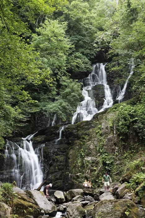 Gerahmter Druck : Torc-Wasserfall des Owengarriff-Flusses Gerahmter Druck : Torc-Wasserfall des Owengarriff-Flusses