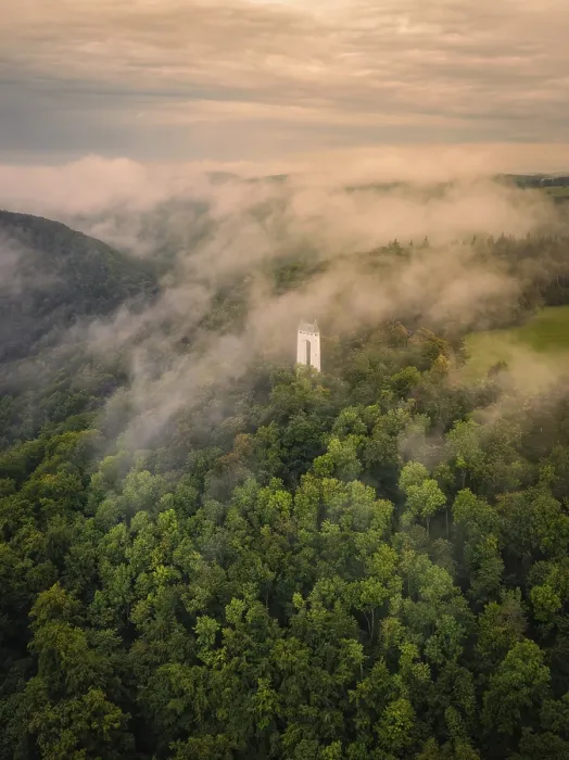 Gerahmter Druck : Ein Turm ragt aus einem nebligen Wald. Gerahmter Druck : Ein Turm ragt aus einem nebligen Wald.