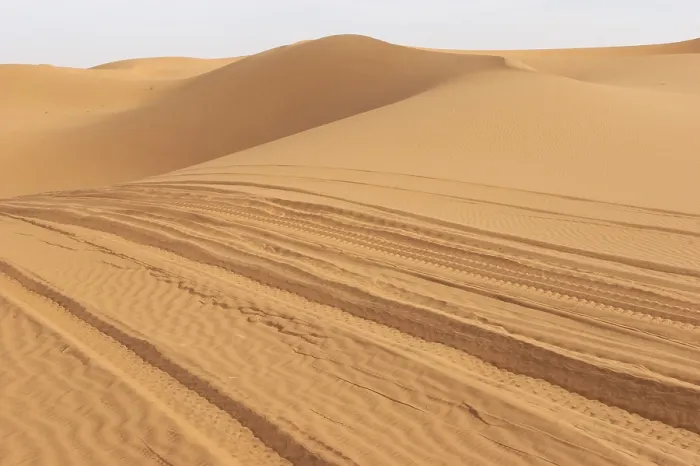 Gerahmter Druck : Spuren im Sand. Gerahmter Druck : Spuren im Sand.