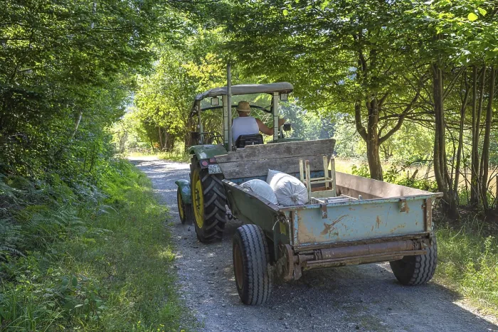 Gerahmter Druck : Traktor fährt durch den Wald. Gerahmter Druck : Traktor fährt durch den Wald.