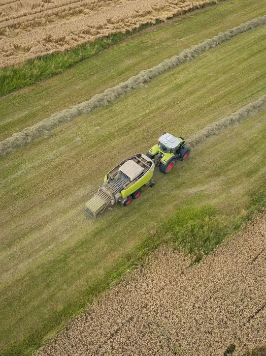 Gerahmter Druck : Mähdrescher und Traktor arbeiten gemeinsam in einem Feld. Gerahmter Druck : Mähdrescher und Traktor arbeiten gemeinsam in einem Feld.