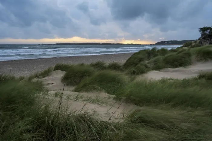 Gerahmter Druck : Traeth Llanddwyn Beach, Anglesey Gerahmter Druck : Traeth Llanddwyn Beach, Anglesey
