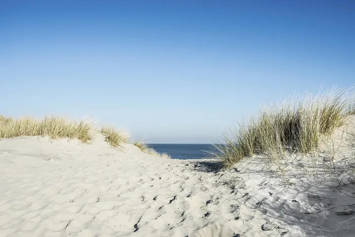 Gerahmter Druck : Weg durch Dünen zum Strand. Gerahmter Druck : Weg durch Dünen zum Strand.