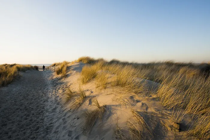 Gerahmter Druck : Weg zum Strand durch Dünen. Gerahmter Druck : Weg zum Strand durch Dünen.