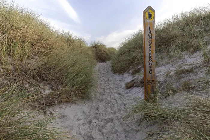 Gerahmter Druck : Weg zum Strand, Marramgras. Gerahmter Druck : Weg zum Strand, Marramgras.