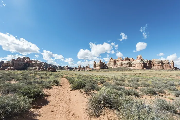 Gerahmter Druck : Wanderweg durch Felsformationen, The Needles District Gerahmter Druck : Wanderweg durch Felsformationen, The Needles District