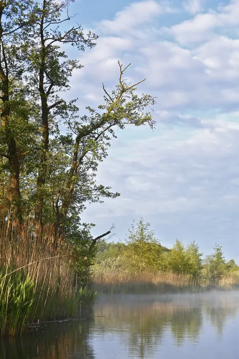 Gerahmter Druck : Ruhevolle Flusslandschaft mit Bäumen. Gerahmter Druck : Ruhevolle Flusslandschaft mit Bäumen.