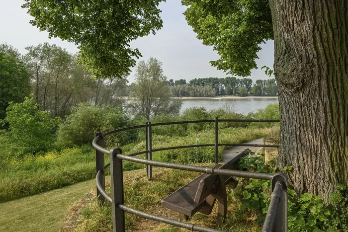 Gerahmter Druck : Ein Baum mit einem Sitzplatz in der Nähe eines Flusses. Gerahmter Druck : Ein Baum mit einem Sitzplatz in der Nähe eines Flusses.