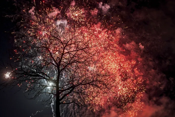 Gerahmter Druck : Baumfeuerwerk Gerahmter Druck : Baumfeuerwerk