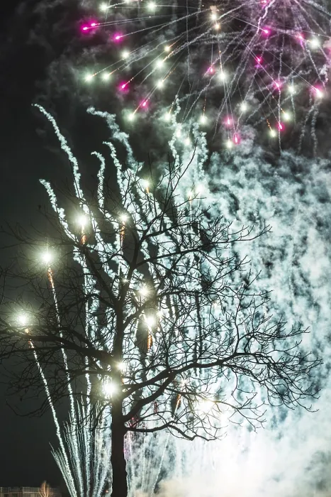 Gerahmter Druck : Baumfeuerwerke