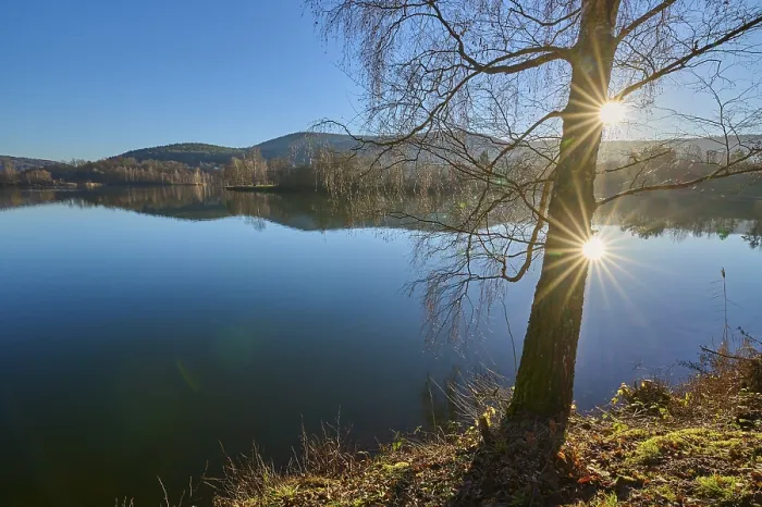 Gerahmter Druck : Baum auf See mit Sonne, Freudenberg am Main. Gerahmter Druck : Baum auf See mit Sonne, Freudenberg am Main.