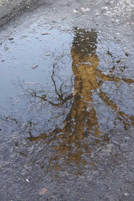 Gerahmter Druck : Baum im Eis, Winter, Deutschland. Gerahmter Druck : Baum im Eis, Winter, Deutschland.