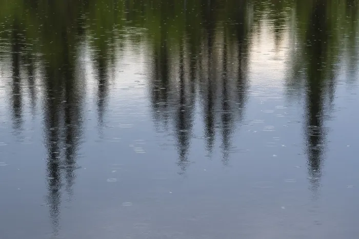 Gerahmter Druck : Baumreflex auf einem Waldsee in Lappland, Schweden Gerahmter Druck : Baumreflex auf einem Waldsee in Lappland, Schweden