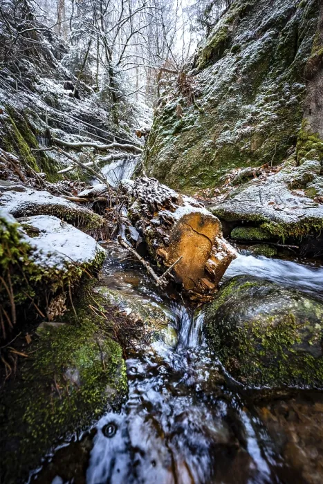 Gerahmter Druck : Baum in einem Bach im Winter mit Schnee. Gerahmter Druck : Baum in einem Bach im Winter mit Schnee.