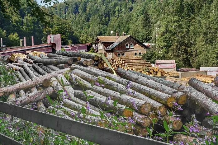 Gerahmter Druck : Stämme in einer Sägerei, Allgäu. Gerahmter Druck : Stämme in einer Sägerei, Allgäu.