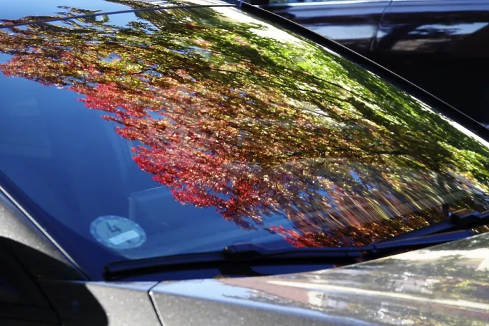 Gerahmter Druck : Bäume mit Herbstfarben, die in einer Windschutzscheibe widergespiegelt werden.