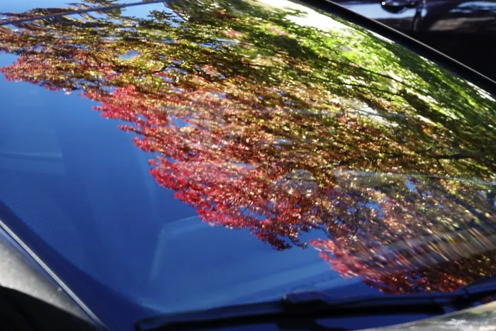 Gerahmter Druck : Bäume mit Herbstfarben im Windschutzscheibenreflex, Oktober, Deutschland Gerahmter Druck : Bäume mit Herbstfarben im Windschutzscheibenreflex, Oktober, Deutschland