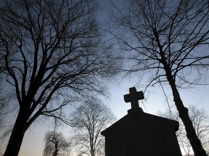 Gerahmter Druck : Bäume am Abend auf einem Friedhof. Gerahmter Druck : Bäume am Abend auf einem Friedhof.