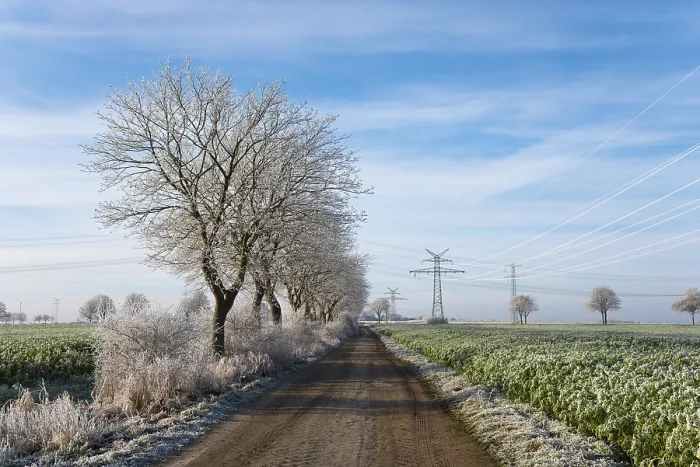 Gerahmter Druck : Bäume und Landschaft mit Rauhreif. Gerahmter Druck : Bäume und Landschaft mit Rauhreif.